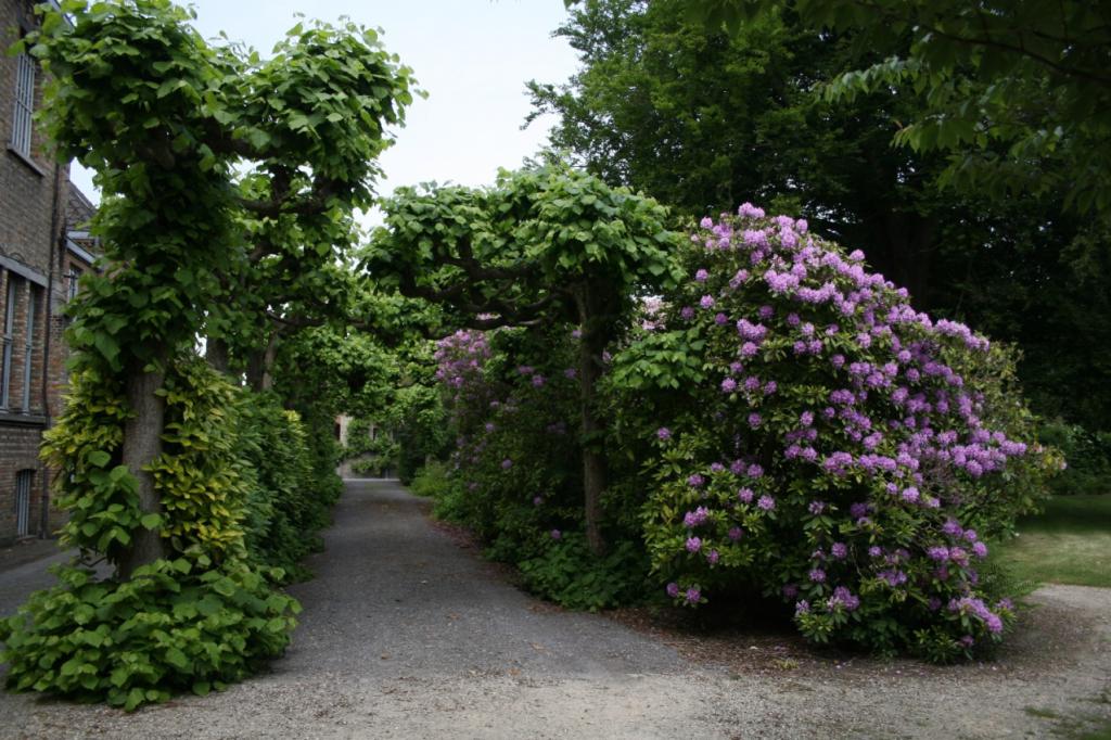 One of the covered walks in the garden